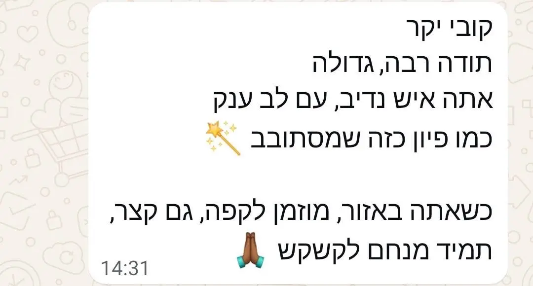צילום מסך משיחה עם לקוח