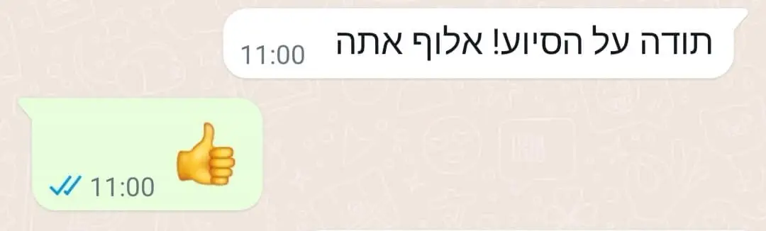 צילום מסך משיחה עם לקוח