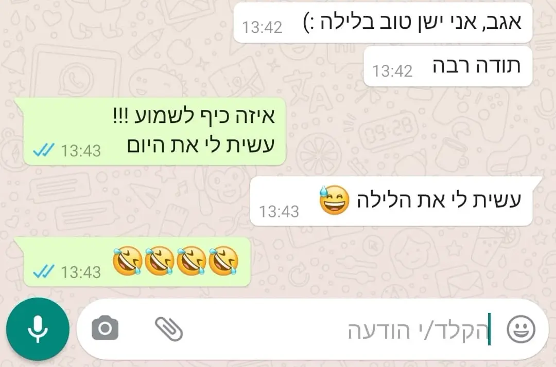 צילום מסך משיחה עם לקוח