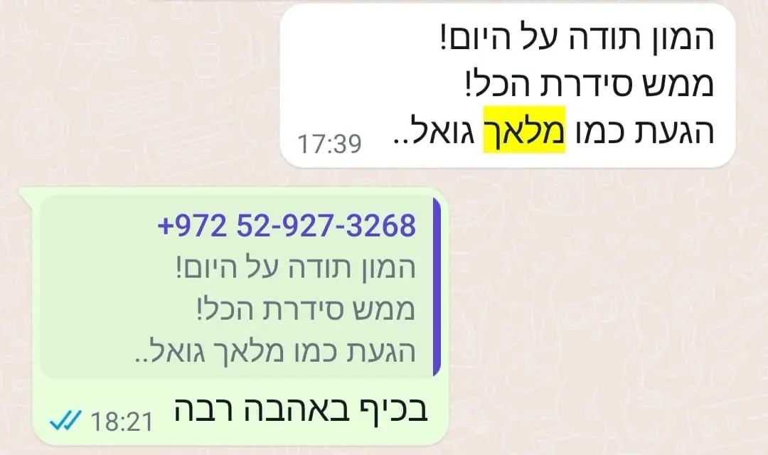 צילום מסך משיחה עם לקוח